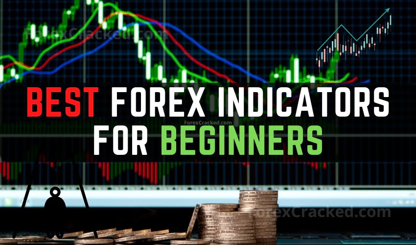 earn how to set-up Copy Trade using Fx Blue