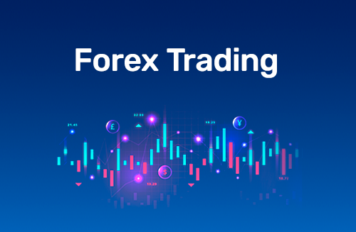 Best Copy Trading Forex Brokers