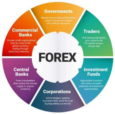 Best Forex Signals Provider - Accurate